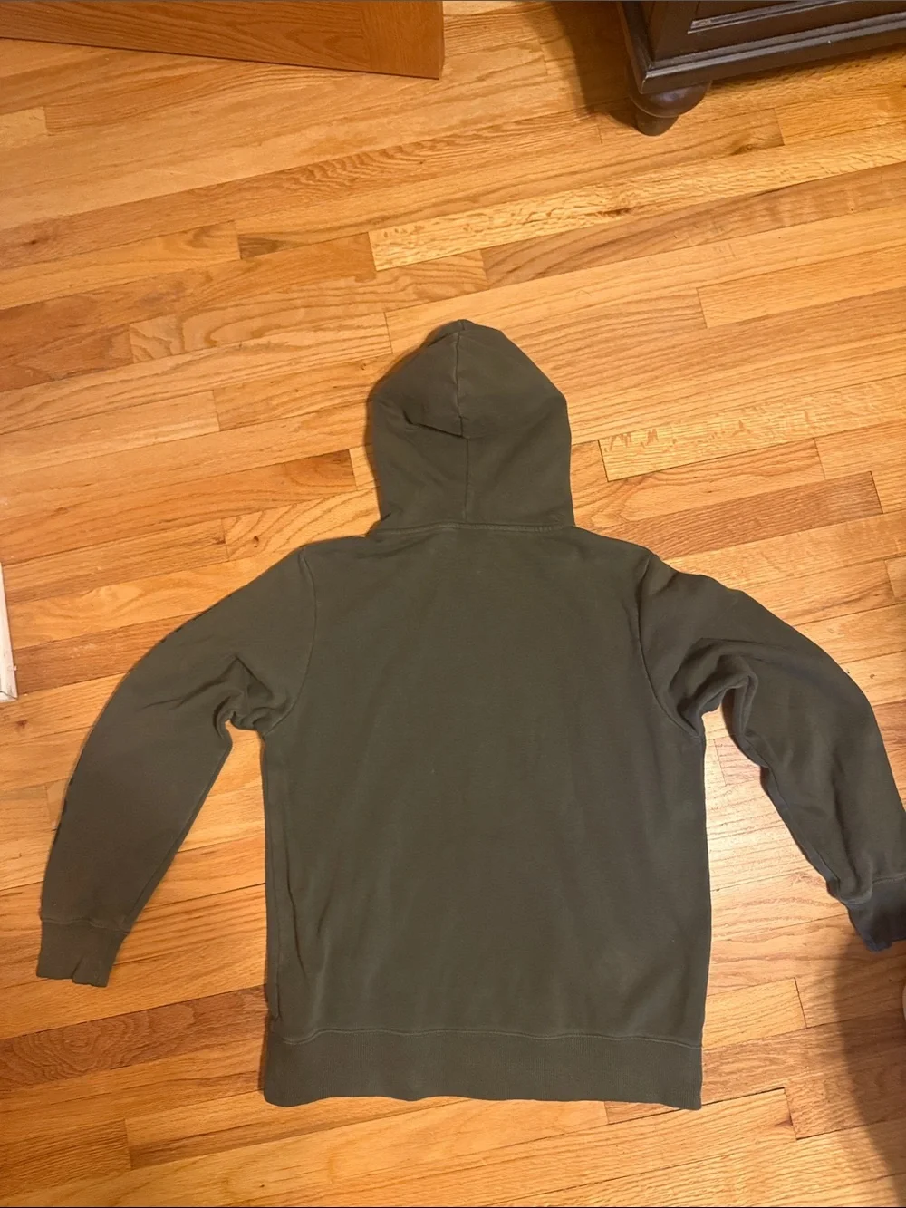 The North Face Men’s size M Olive Hoodie with Bear Graphic